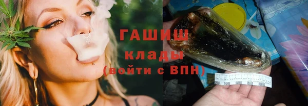 прущие грибы Переславль-Залесский
