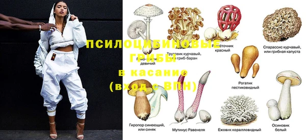 спиды Аркадак