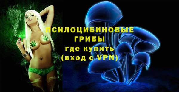 спиды Аркадак