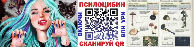 shop как зайти  Старая Купавна  Псилоцибиновые грибы Psilocybe 